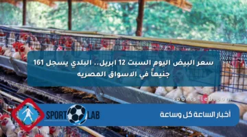 سعر البيض اليوم السبت 12 أبريل.. البلدي يسجل 161 جنيهاً في الأسواق المصرية
